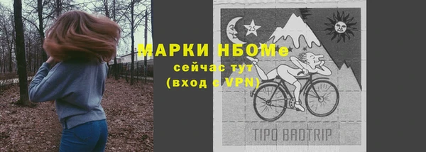 эйфоретик Кукмор