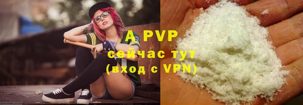 эйфоретик Кукмор