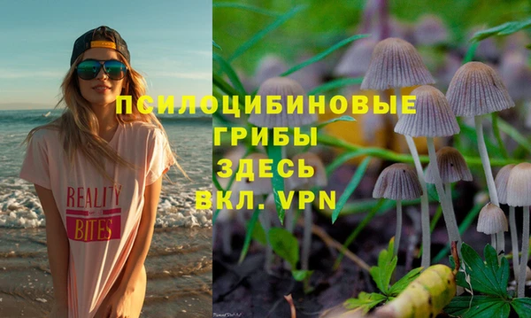 apvp Кулебаки