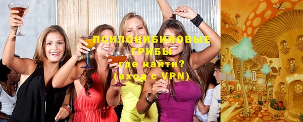 эйфоретик Кукмор