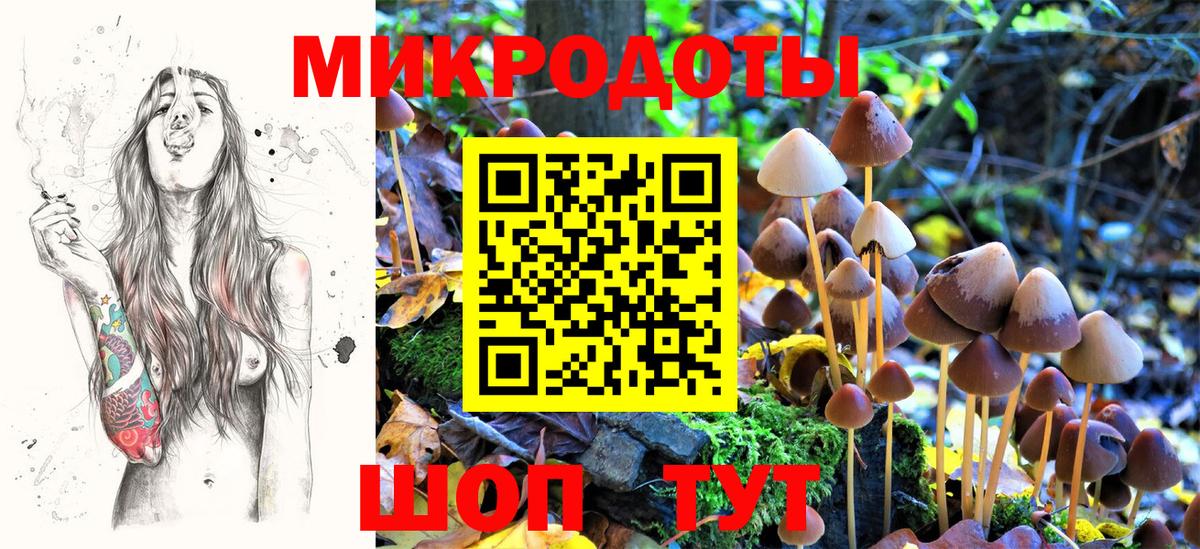 Галлюциногенные грибы мухоморы  Вход с VPN  Сухой Лог 