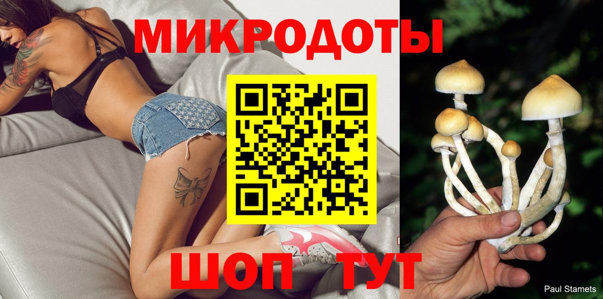 Галлюциногенные грибы MAGIC MUSHROOMS  Вход с VPN  Сухой Лог 